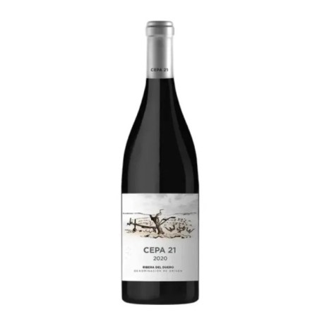 Cepa 21 2020