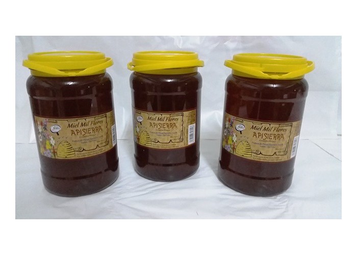 Tarro miel Milflores en barro